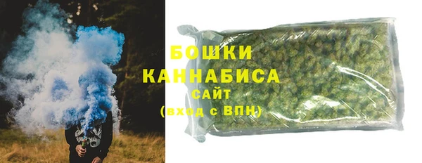 шишки Алексеевка