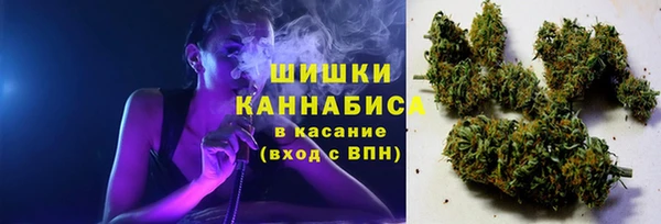 шишки Алексеевка