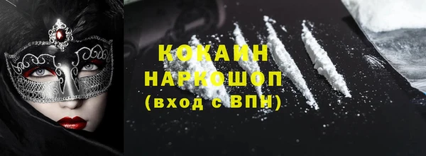 тгк Алексин